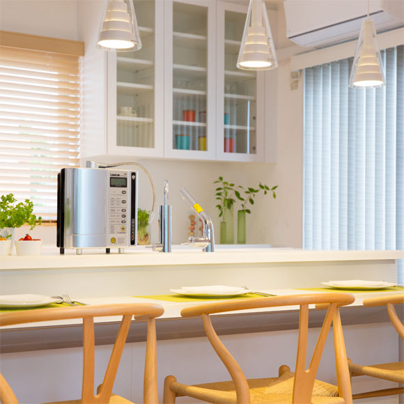 Máy lọc nước điện giải Kangen SD501 Platinum - Ảnh 4